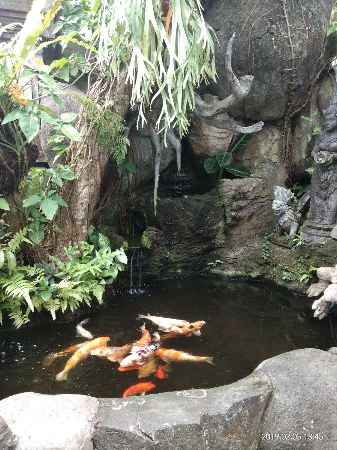 Dewi Antara Homestay Ubud Esterno foto