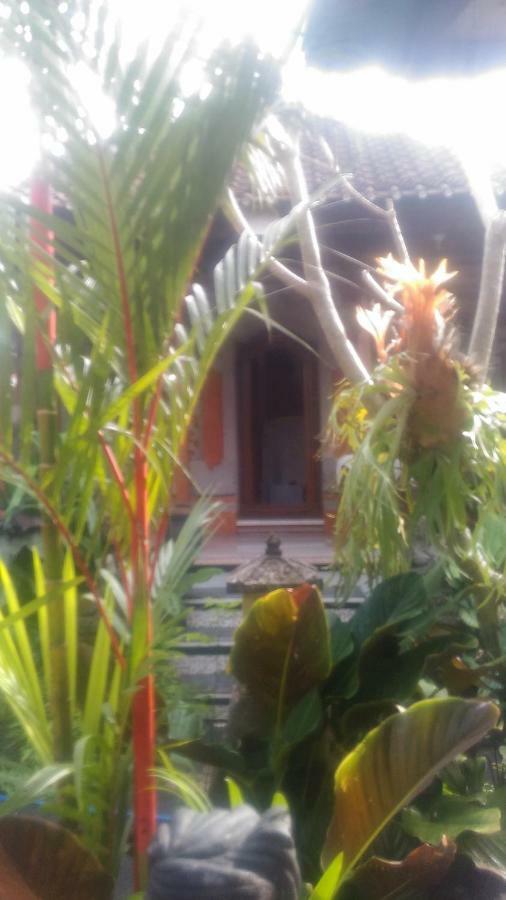 Dewi Antara Homestay Ubud Esterno foto